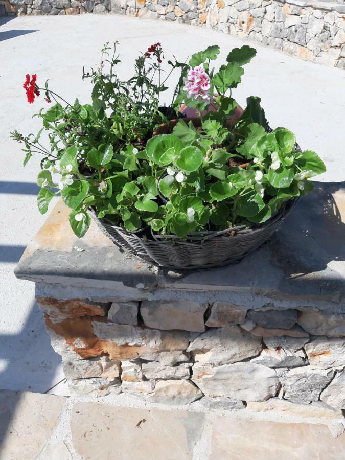 Peaceful Home Olea Oblica Primošten Dış mekan fotoğraf